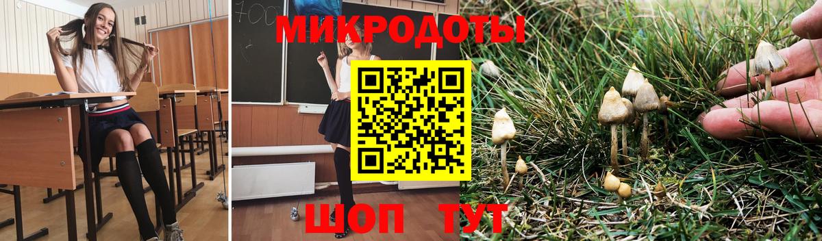 Псилоцибиновые грибы MAGIC MUSHROOMS Старая Купавна